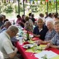 Garden party de la SMLH Marne le 10 juin 2017 13